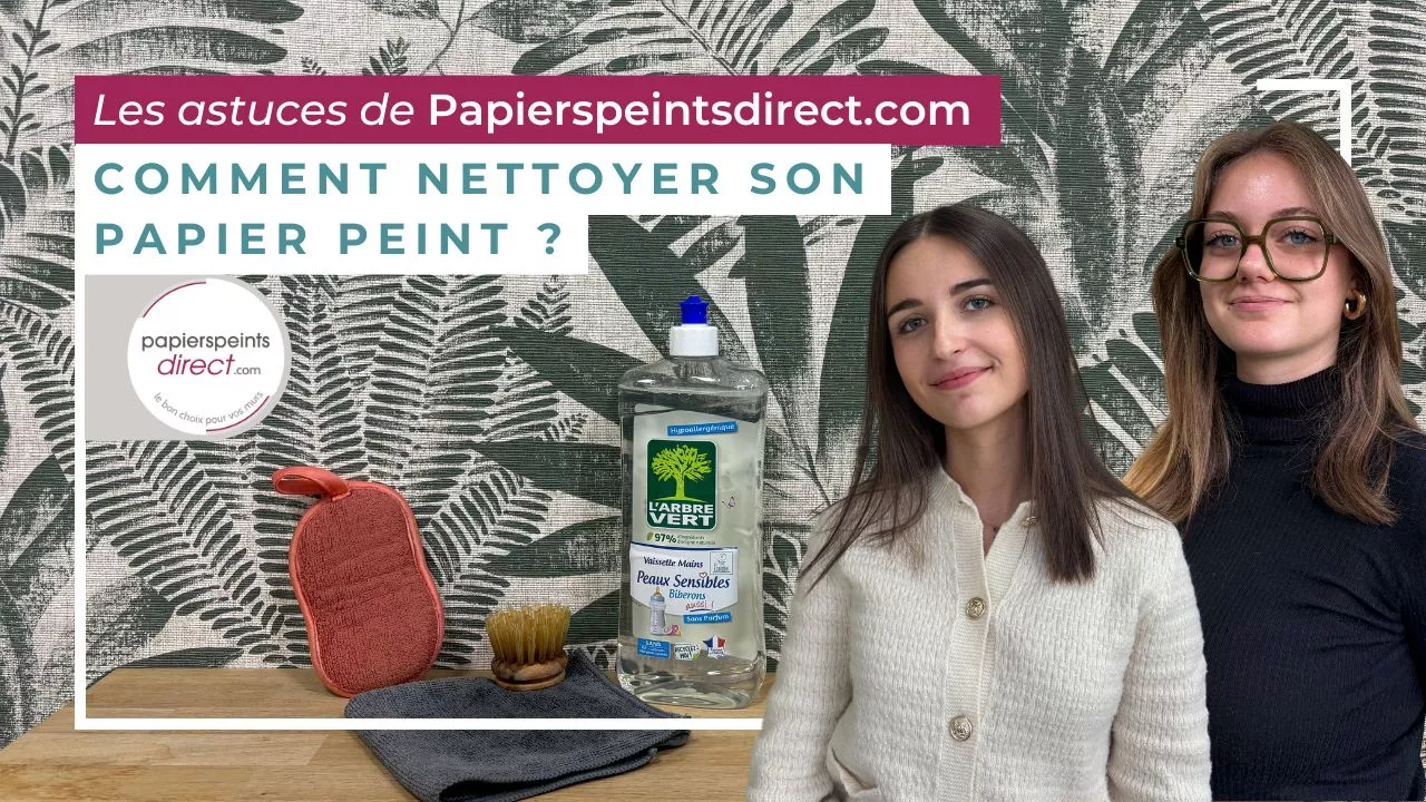 Vidéo tutoriel pour bien laver son papier peint